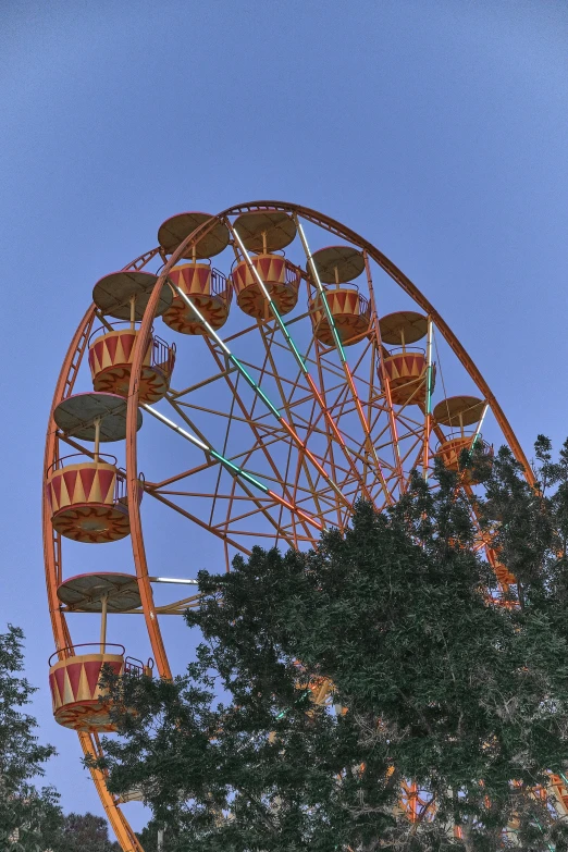 a ferris wheel sitting in the middle of a park, profile image