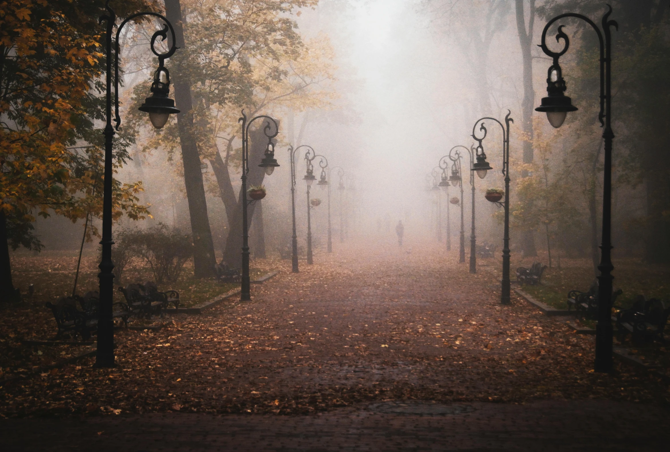 a street light in the middle of a foggy park, pexels contest winner, romanticism, autumn leaves on the ground, people walking around, gas lamps, a quaint