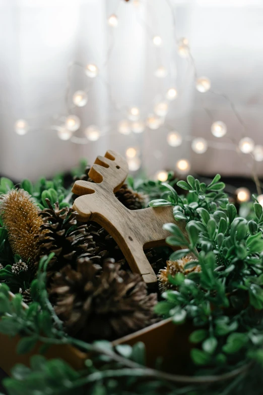 a box filled with pine cones and greenery, pexels contest winner, folk art, wooden hippo, soft lights, bokeh. chrome accents, natural mini gardens