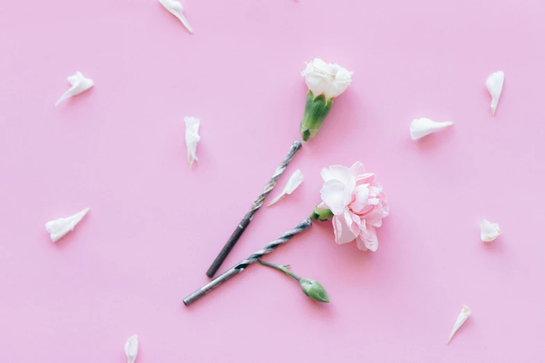 a single pink carnation on a pink background, an album cover, inspired by Robert Mapplethorpe, trending on unsplash, aestheticism, pink hair covered with hairpins, scattered props, white petal, stick poke