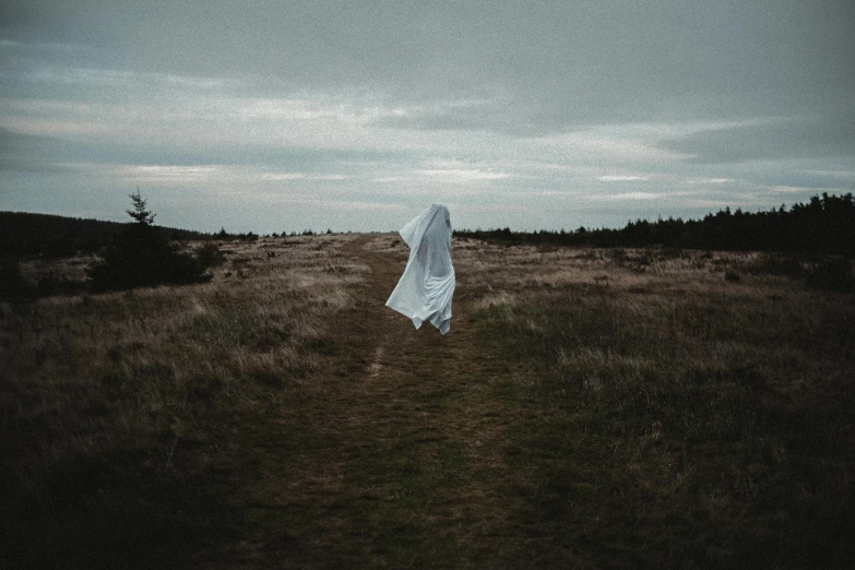 a person in a white dress walking through a field, pexels contest winner, surrealism, halloween ghost under a sheet, instagram post, isolated, desolate