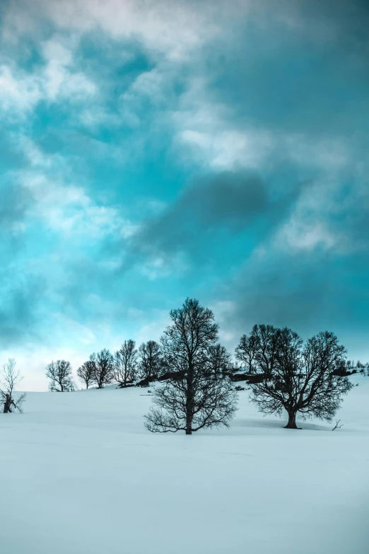 a group of trees sitting on top of a snow covered field, by Harald Giersing, pexels contest winner, minimalism, blue storm clouds, music, mint, environments )