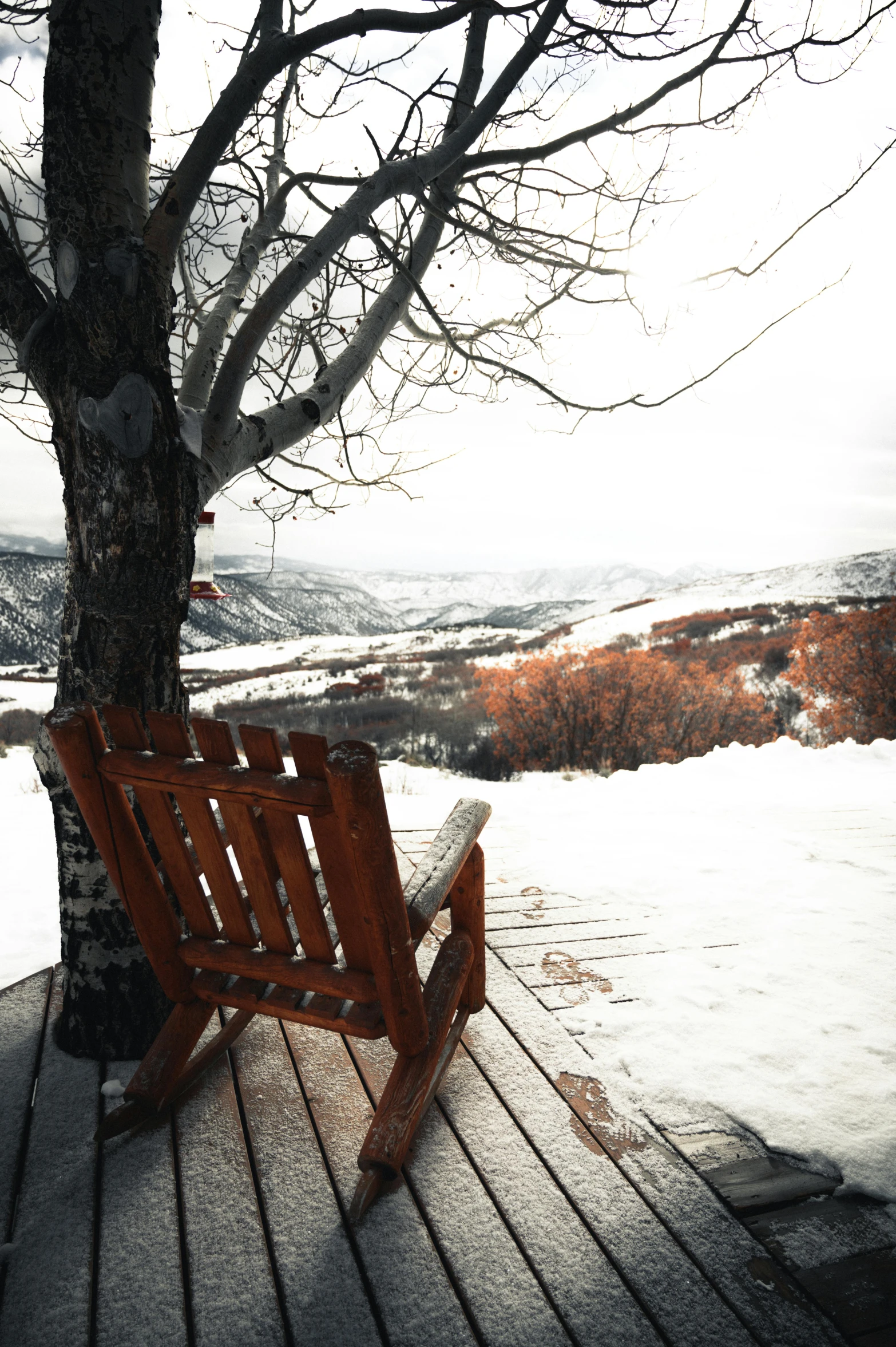 a wooden bench sitting next to a tree in the snow, pexels contest winner, overlooking a valley, sitting in a rocking chair, warm colored furniture, pov photo