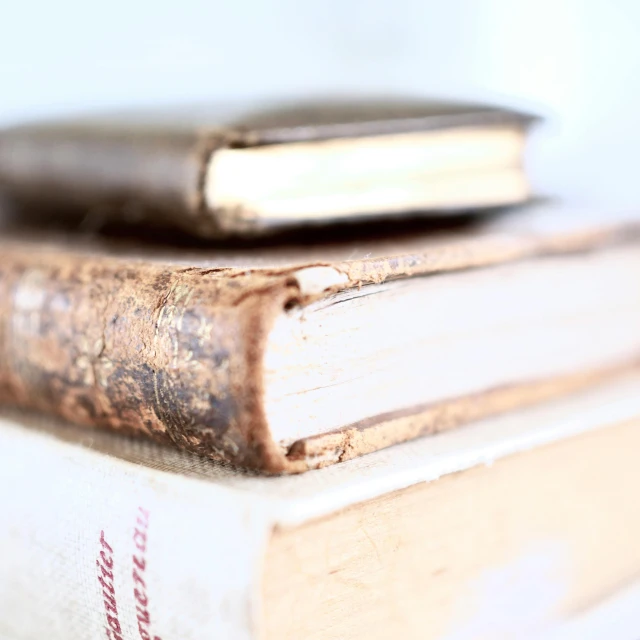 a stack of books sitting on top of each other, a macro photograph, by David Simpson, pexels, renaissance, rust and plaster materials, closeup photograph, white, gold