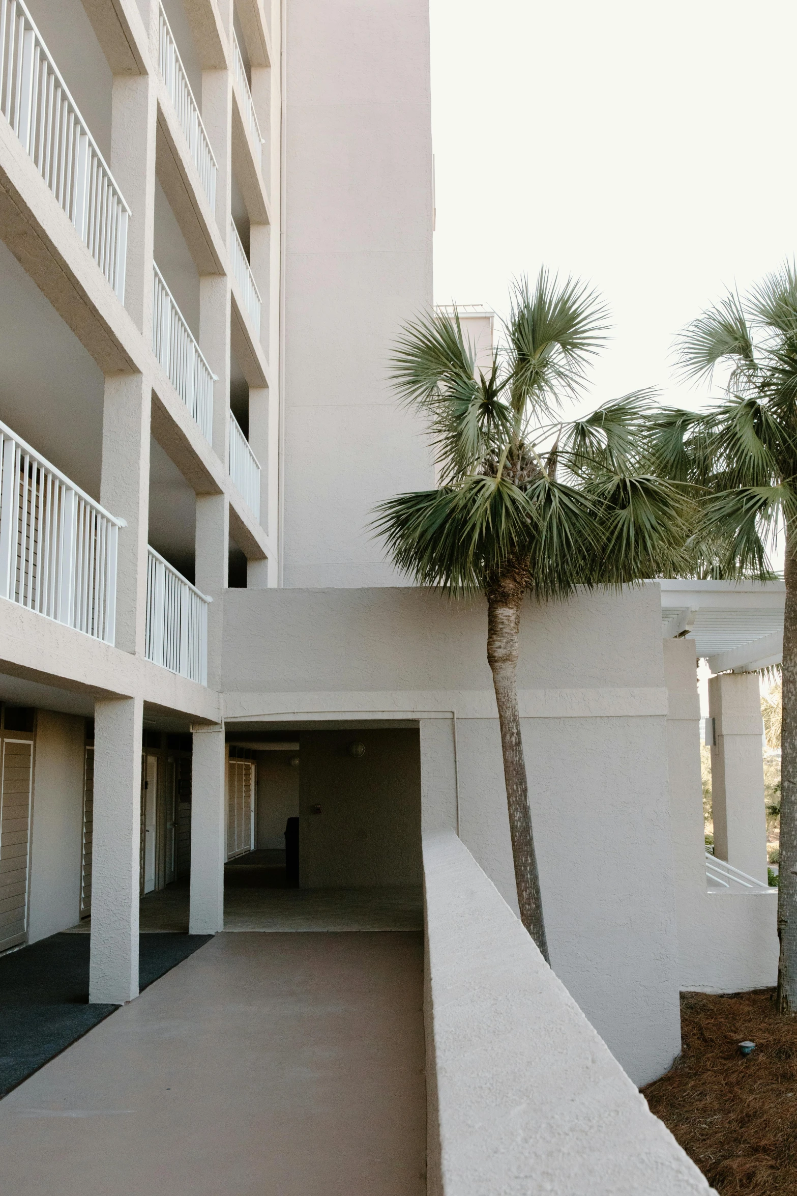 a white building with a palm tree in front of it, balcony door, pathway, coastal, high camera angle