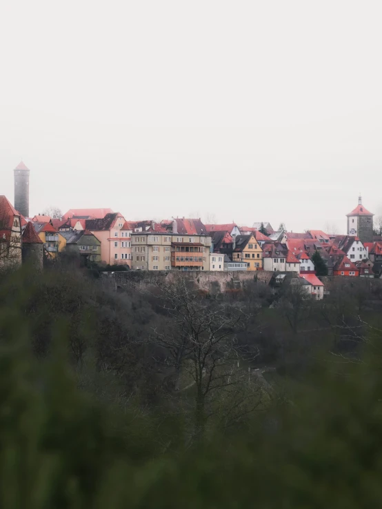 a view of a city from the top of a hill, by Kristian Zahrtmann, pexels contest winner, renaissance, overcast gray skies, lower saxony, village in the woods, red castle in background