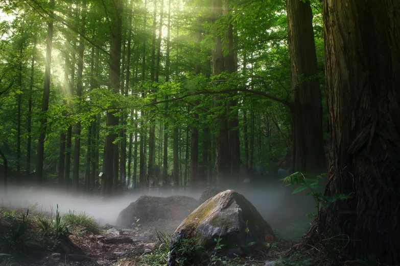 a large rock sitting in the middle of a forest, pexels contest winner, environmental art, light green mist, ((forest)), beams of sunlight, miniature forest