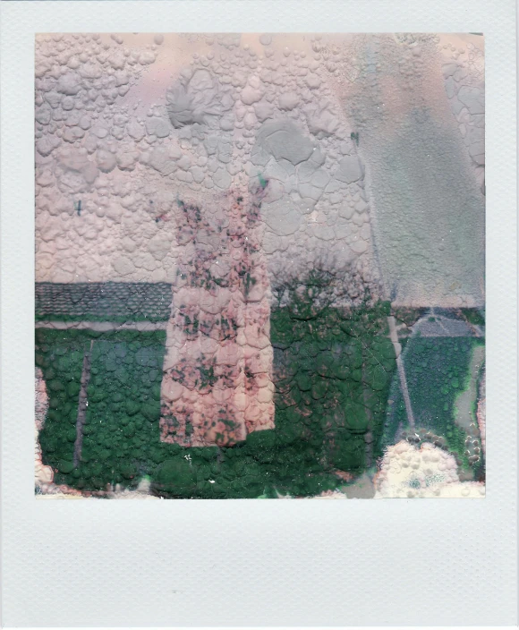 a polaroid picture of a woman in a pink dress, inspired by Elsa Bleda, post-impressionism, tattered green dress, pixellated, 70mm film screenshot, album cover