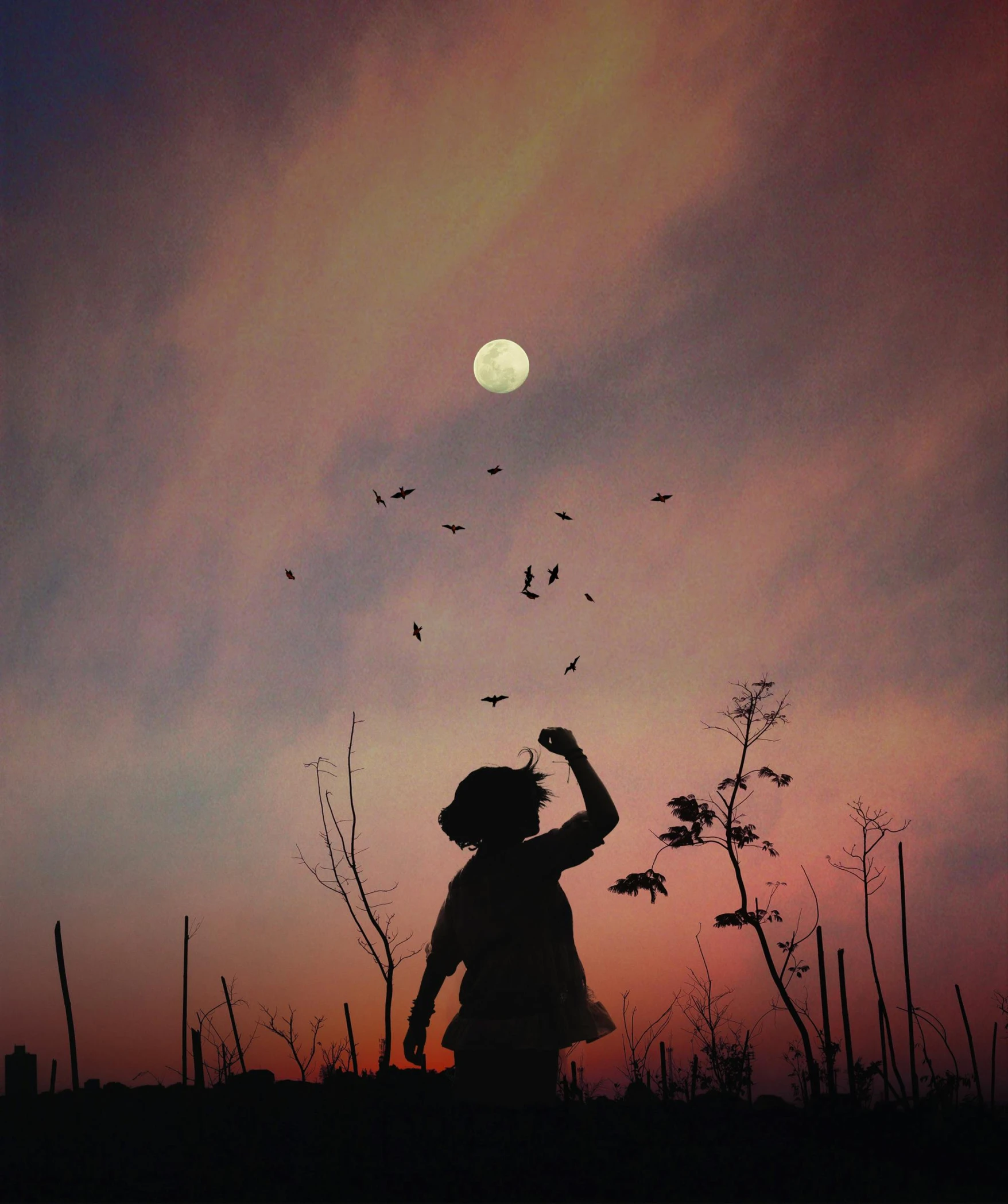 a person that is flying a kite in the sky, an album cover, by Lucia Peka, pexels contest winner, moon rising, evening mood, bats in sky, ((sunset))