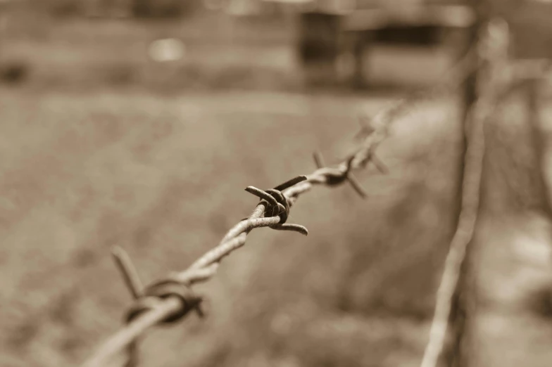 a black and white photo of a barbed wire fence, inspired by Dorothea Lange, unsplash, visual art, sepia, bokeh. i, 1950s photograph, grain”