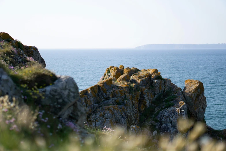 a man standing on top of a cliff next to the ocean, by Simon Marmion, unsplash, rocky grass field, pembrokeshire, flowers in foreground, boulders