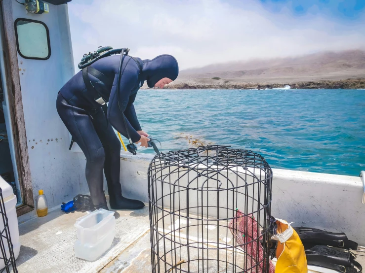 a person in a wet suit on a boat, wildlife preservation, fish seafood markets, instagram picture, scientific research