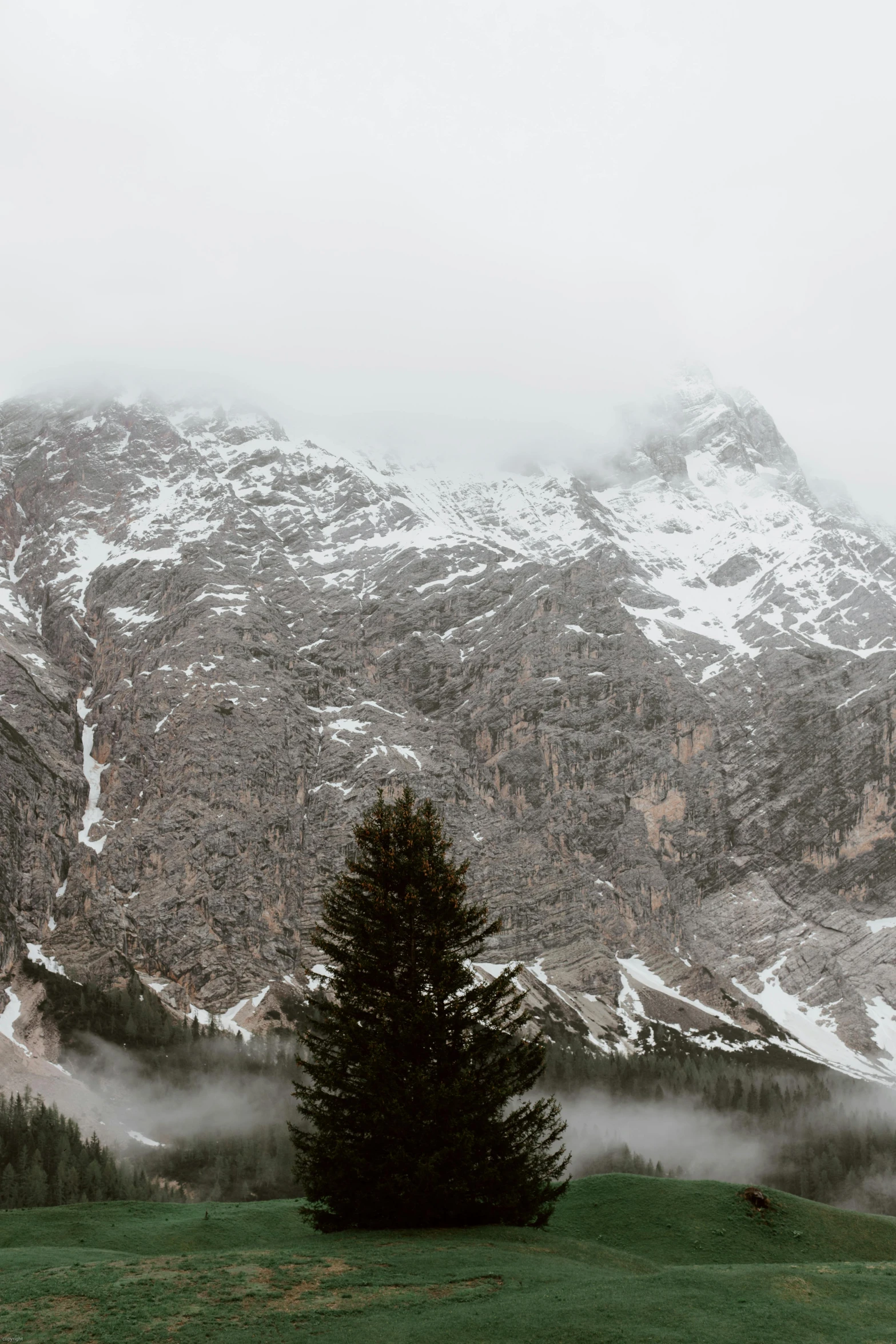 a lone tree in a field with a mountain in the background, by Sebastian Spreng, pexels contest winner, lago di sorapis, foggy day outside, 4 k cinematic panoramic view, snowing in the forest