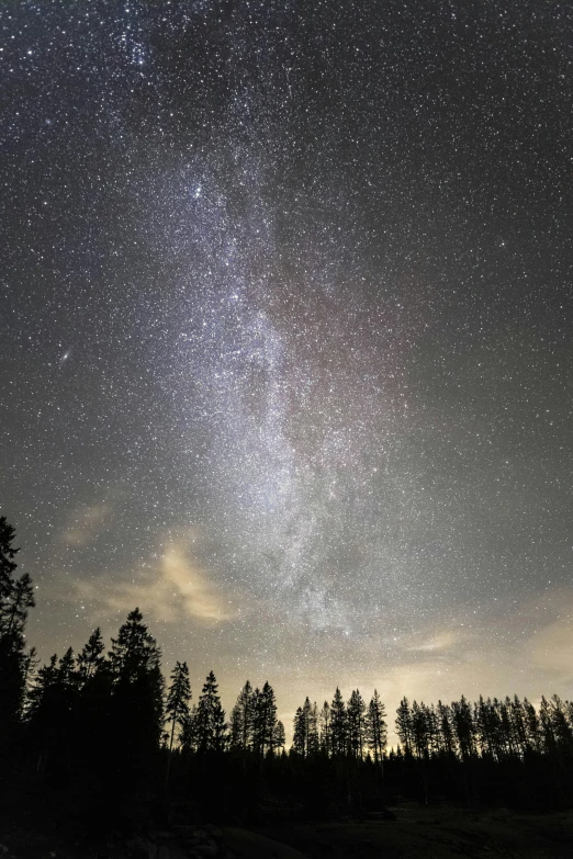 a night sky filled with lots of stars, a portrait, by Robert Storm Petersen, fan favorite, super wide, grey