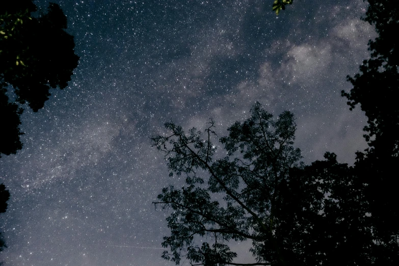 a night sky filled with lots of stars, a picture, unsplash contest winner, light and space, over the tree tops, view from ground, dimly lit, australian winter night
