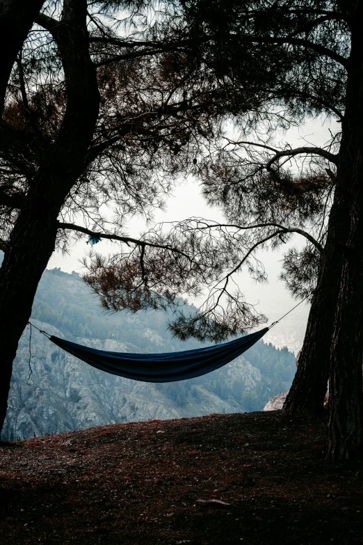a hammock hanging between two trees on a hill, shot with hasselblad, dark pine trees, chilly, overlooking
