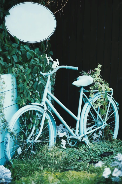 a bicycle that is sitting in the grass, vines. tiffany blue, fujicolor sample, green wall, item