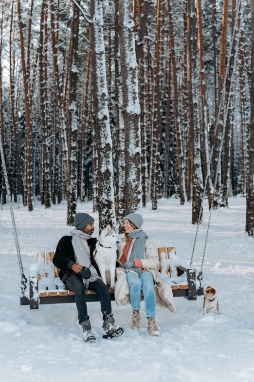 a man and a woman sitting on a swing in the snow, by Zofia Stryjenska, pexels contest winner, birch trees, with dogs, low quality photo, 🎀 🍓 🧚