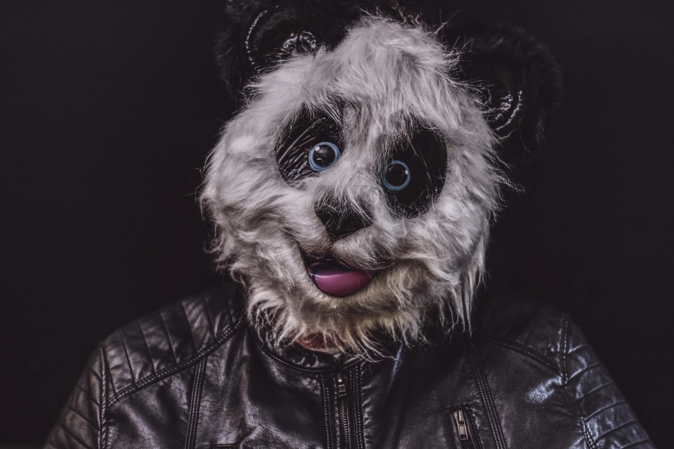 a black and white panda bear wearing a leather jacket, an album cover, trending on pexels, furry art, professional cosplay, mask, cat face, trending on 500px