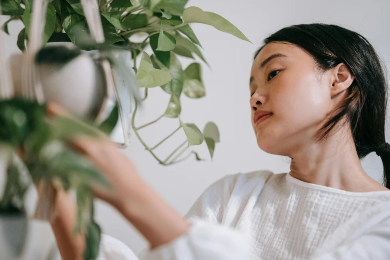 a woman holding a potted plant in her hands, trending on pexels, asian face, pouring, jovana rikalo, avatar image