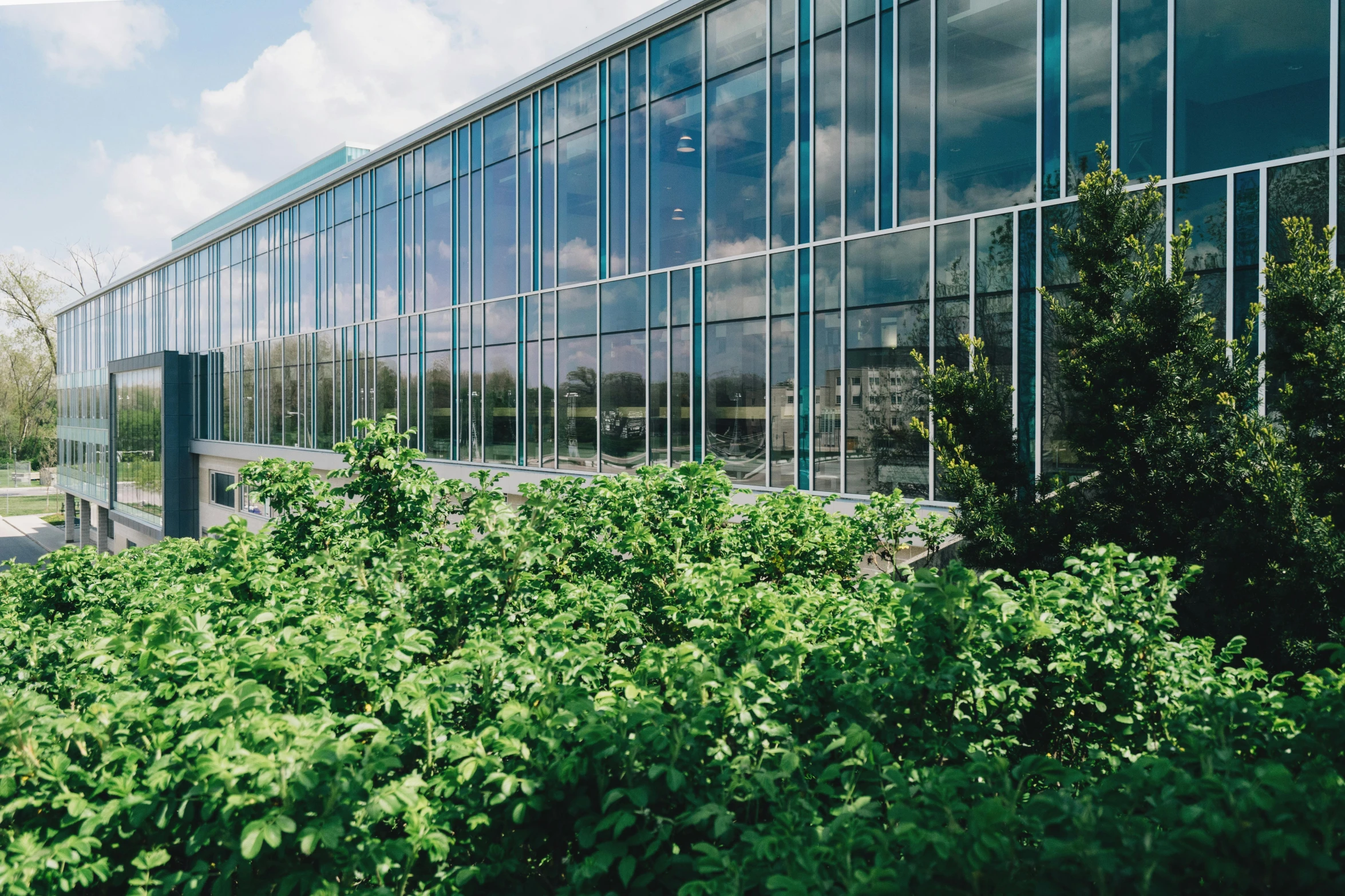 a large glass building sitting next to a lush green field, by Carey Morris, unsplash, southdale center, plants growing, profile image