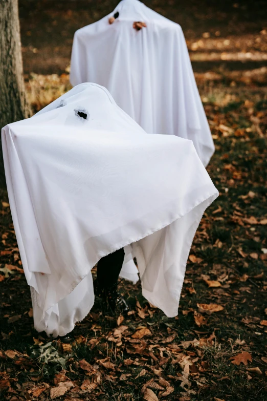 two ghosts hanging from a tree in the woods, an album cover, unsplash, white cloth, costume, 2019 trending photo, blank