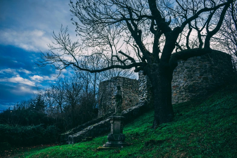 a tree sitting on top of a lush green hillside, a statue, unsplash contest winner, romanesque, dark ruins, on a dark winter's day, photo taken on fujifilm superia, blue