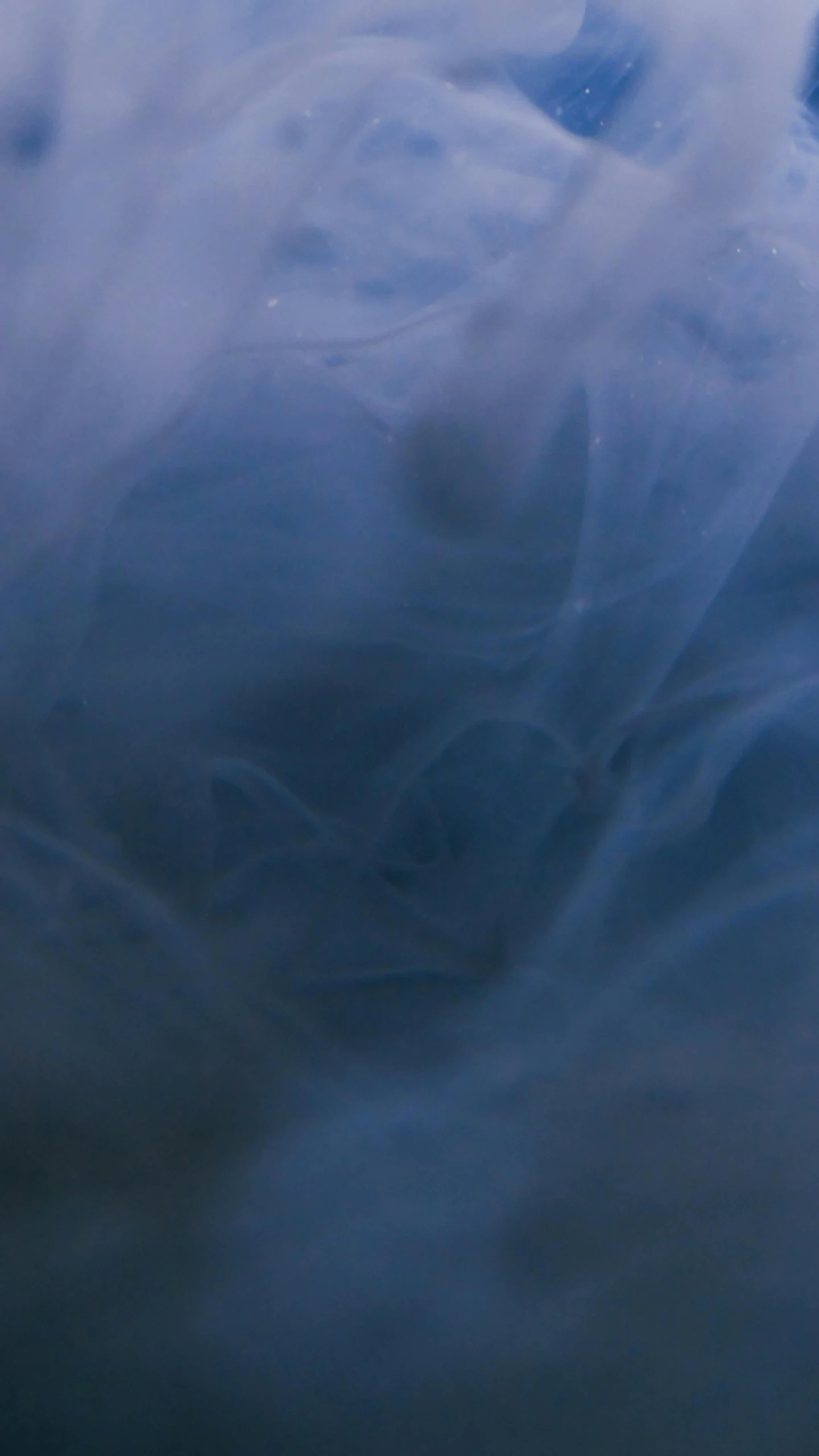 an airplane flying through a cloudy blue sky, an album cover, inspired by Kim Keever, lyrical abstraction, leonardo davinci detail, blue fur, (mist), 15081959 21121991 01012000 4k