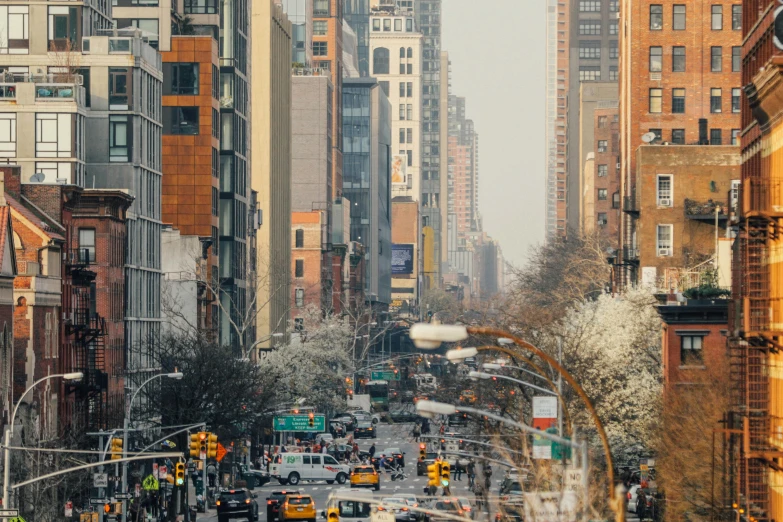 a city street filled with lots of traffic and tall buildings, a photo, new - york skyline in winter, skyscrapers with greenery, promo image, thumbnail