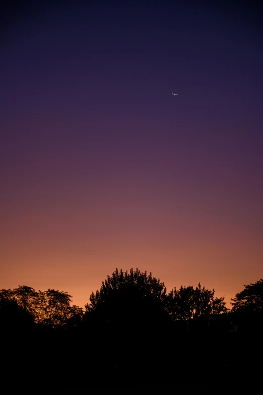 the moon is setting over the trees in the distance, by Peter Churcher, postminimalism, ((sunset)), muted colours 8 k, crescent moon, mars setting