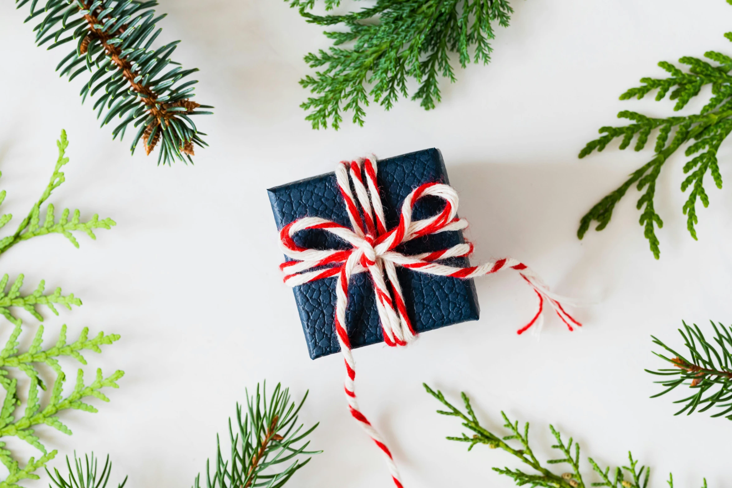 a blue gift box tied with a red and white ribbon surrounded by evergreen branches, pexels contest winner, private press, navy-blue, miniature product photo, black, vine twist