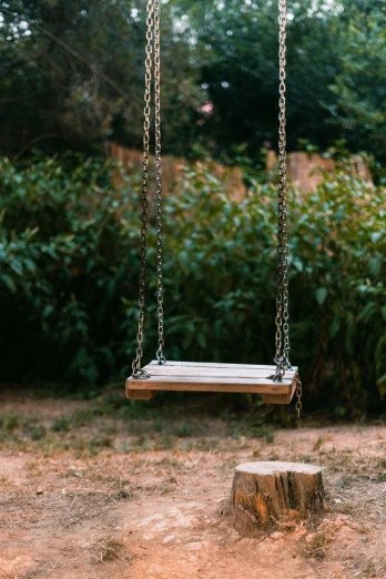 a wooden swing sitting on top of a tree stump, by Peter Churcher, unsplash, sitting in the garden, plain background, chains, late summer evening