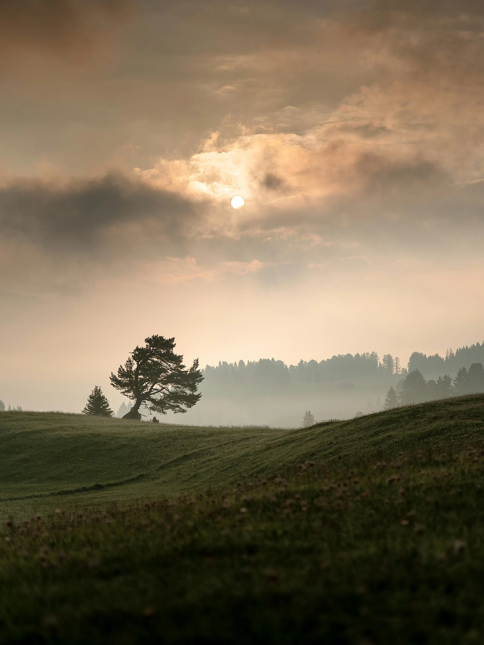 a lone tree sitting on top of a lush green hillside, by Sebastian Spreng, pexels contest winner, romanticism, hazy sunset with dramatic clouds, fine art print, switzerland, light grey mist