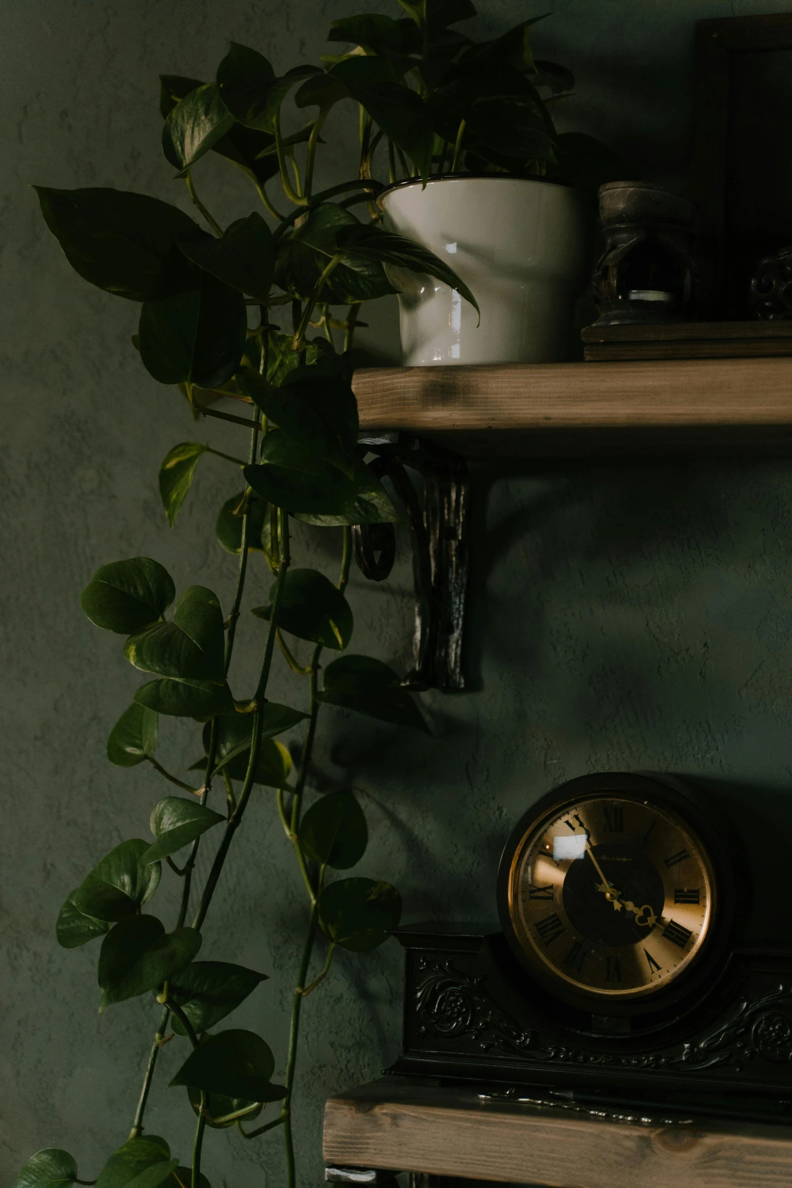 a clock sitting on top of a wooden shelf next to a plant, inspired by Elsa Bleda, unsplash, renaissance, ivy vines, low quality photo, cinematic shot ar 9:16 -n 6 -g, low detail
