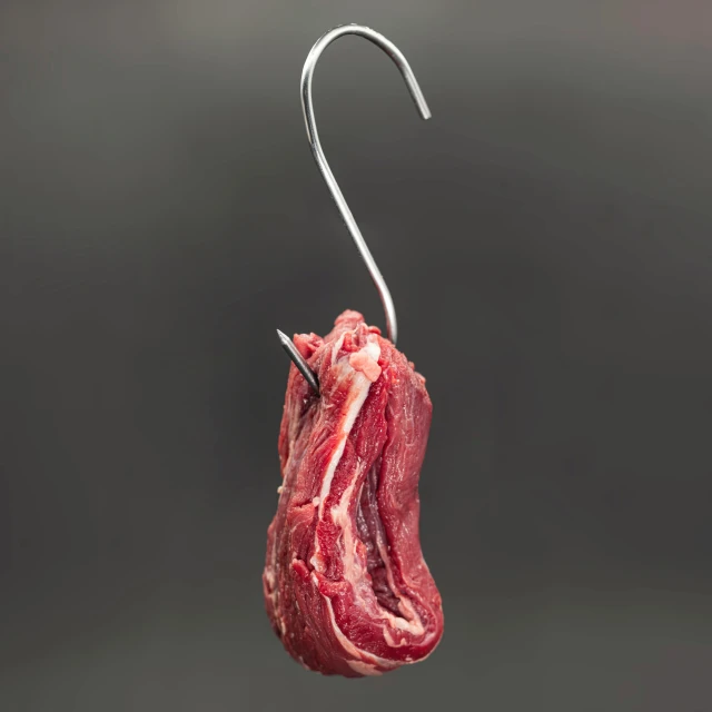 a piece of meat hanging from a hook, product shot, pointè pose, hyperrealistic n- 4, innovative