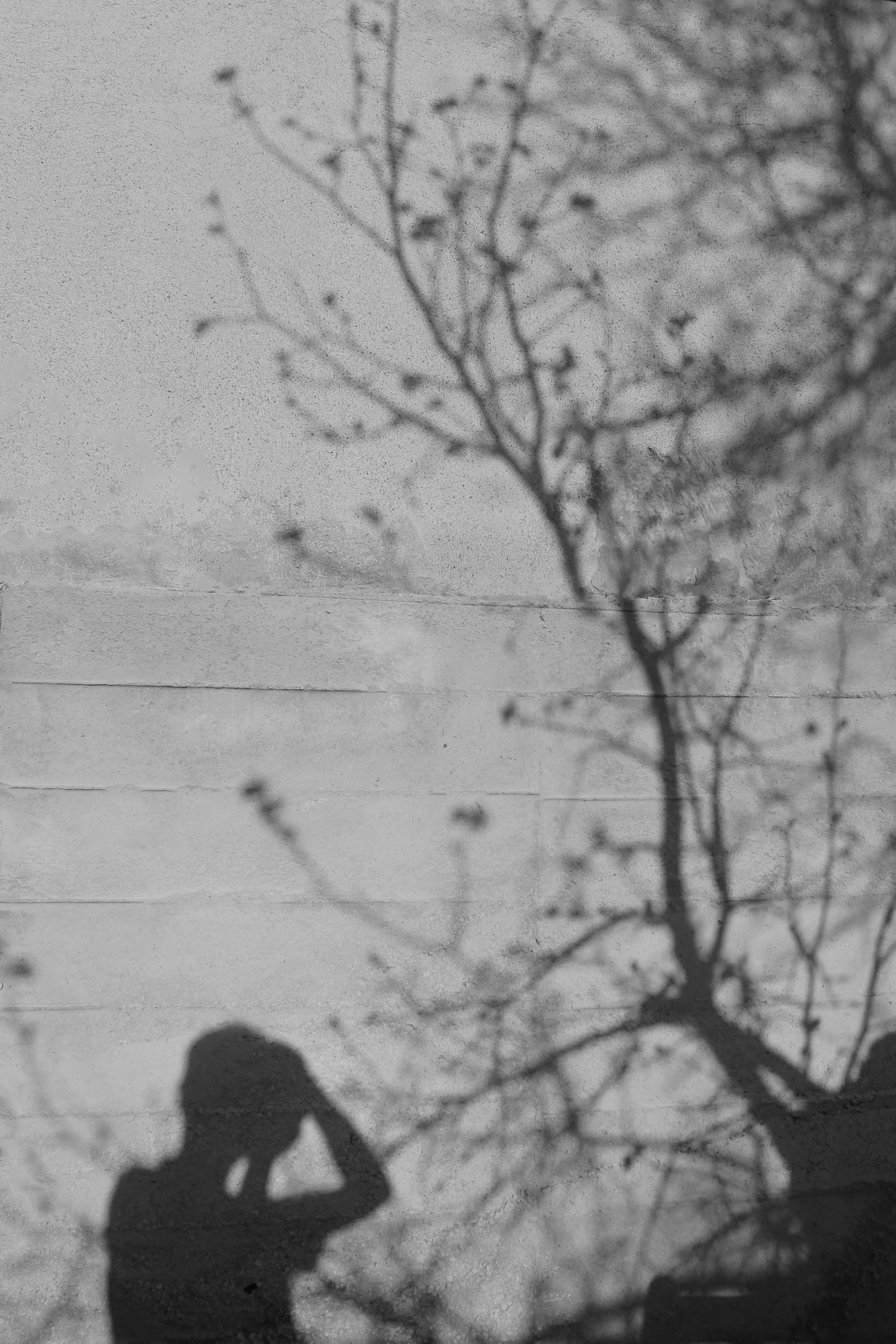 a black and white photo of a person standing in front of a tree, inspired by Sergio Larraín, low detail, ( collage ), winter photograph, at the waterside
