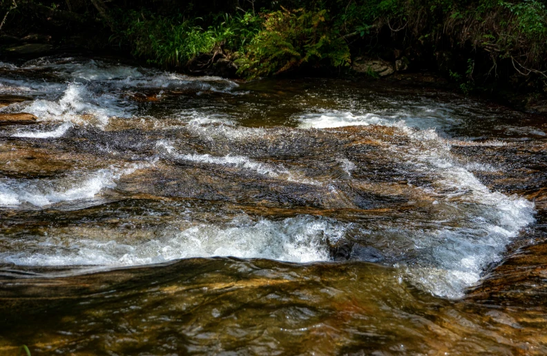 a stream running through a lush green forest, an album cover, pexels contest winner, hurufiyya, white water rapids, thumbnail, brown, shiny and sparkling