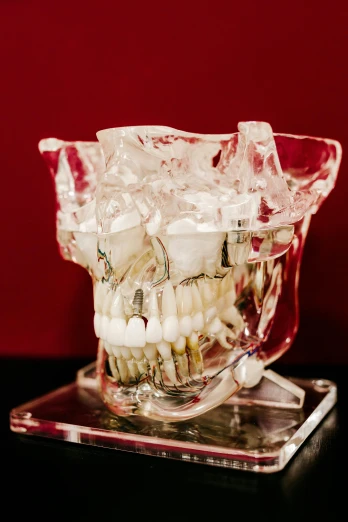 a clear vase filled with toothbrushes and toothpaste, by Adam Marczyński, reddit, vanitas, detailed glowing red implants, with a spine crown, vocal tract model, high angle close up shot