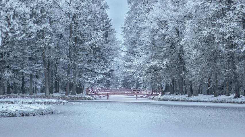 a red bridge in the middle of a snow covered park, inspired by Adam Marczyński, pexels contest winner, tonalism, cotton candy trees, forest. white trees, ice gate, intricate highly detailed 8 k