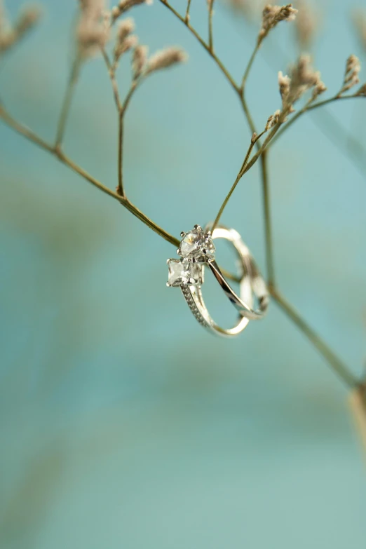 a couple of wedding rings sitting on top of a plant, by Julian Allen, an earring, next to a tree, diamond, detail shot