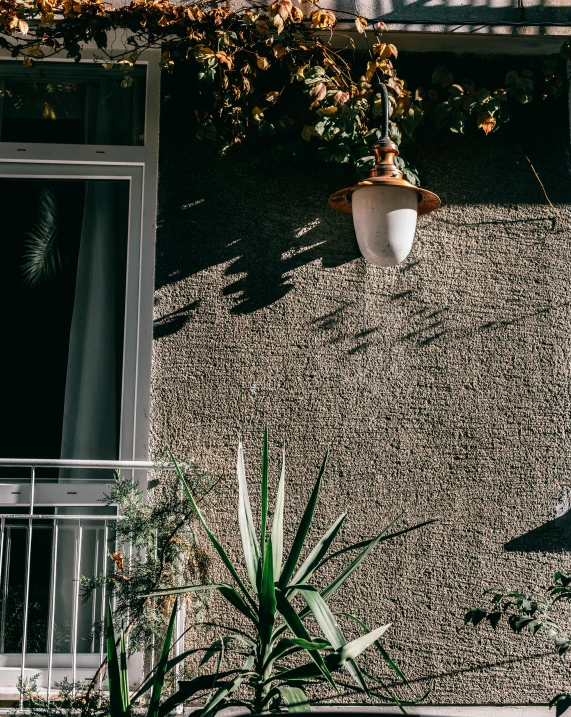 a red fire hydrant sitting on the side of a building, inspired by Elsa Bleda, unsplash contest winner, light and space, plants on balconies, light - brown wall, made of cement and concrete, good lighted photo