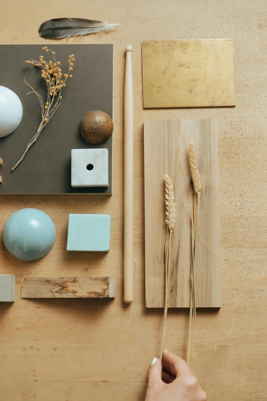 a table that has a bunch of items on it, trending on unsplash, conceptual art, light grey blue and golden, wood panels, stems, brown and cyan color scheme