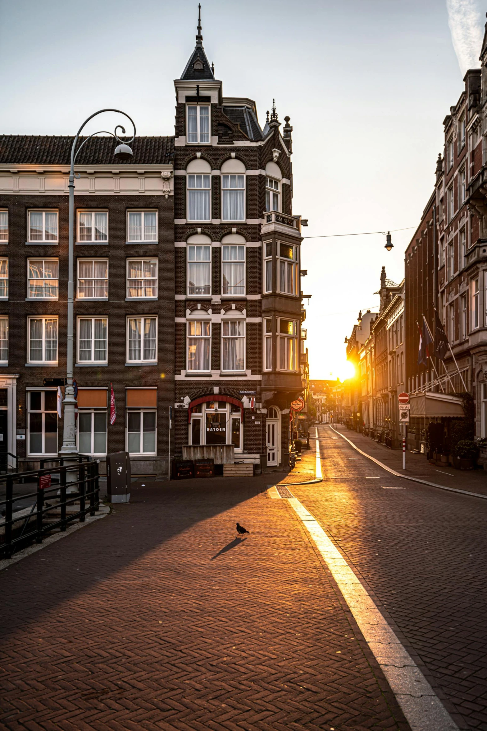 a couple of buildings sitting on the side of a road, by Jan Tengnagel, pexels contest winner, renaissance, late afternoon sun, amsterdam, colonial era street, birds in the sunlight