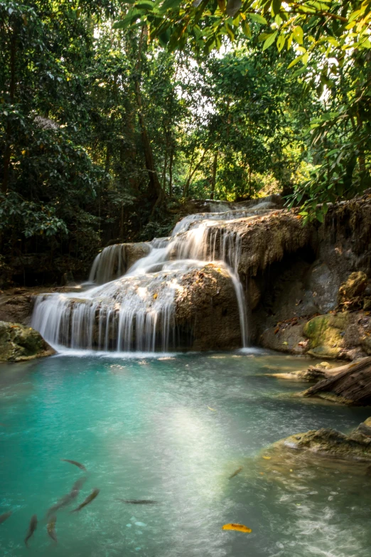 a small waterfall in the middle of a forest, by Julian Allen, sumatraism, white travertine terraces, swimming, in serene forest setting, bangkok