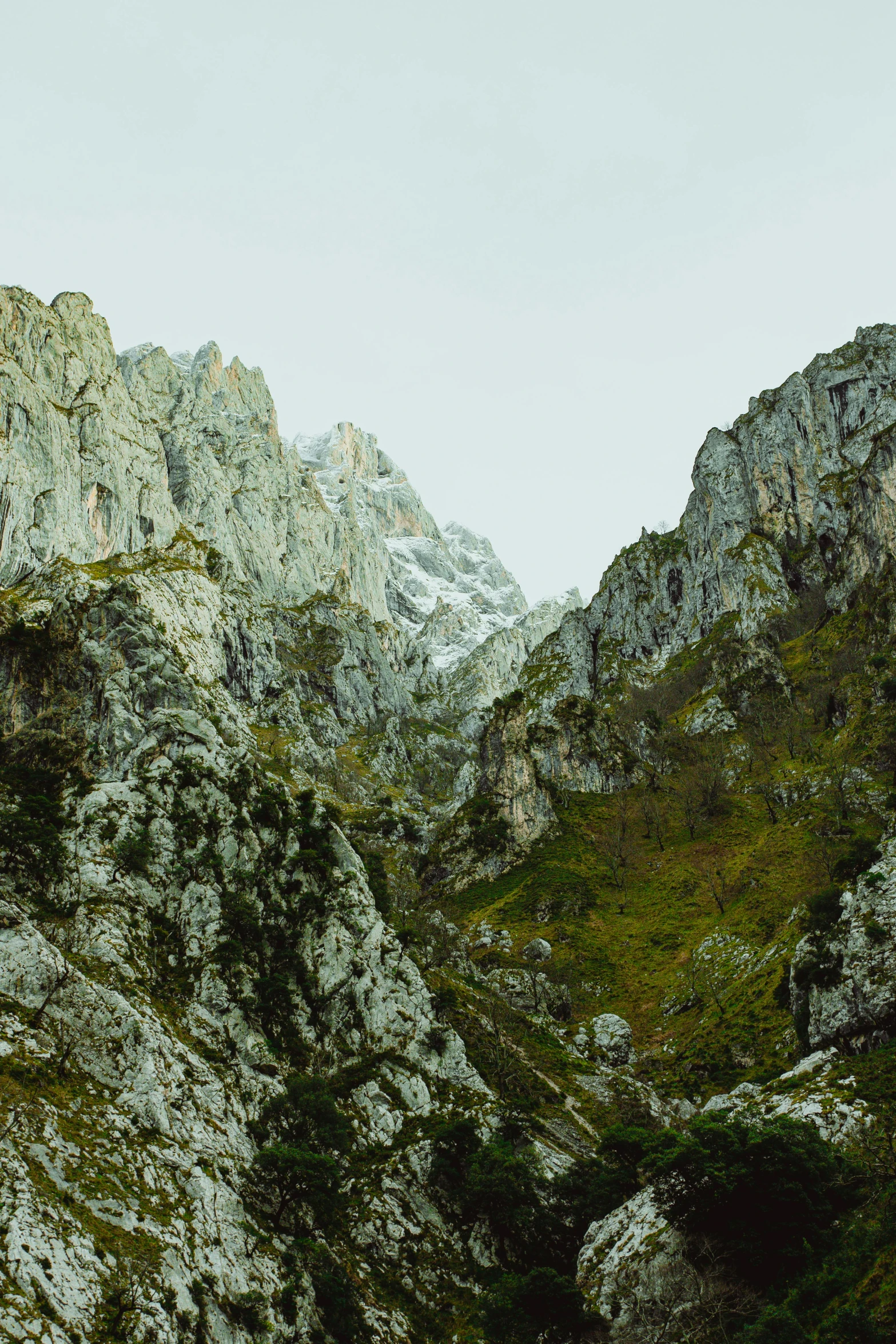 a herd of sheep standing on top of a lush green hillside, a picture, pexels contest winner, baroque, extremely detailed rocky crag, pyranees, autumn mountains, inside a gorge