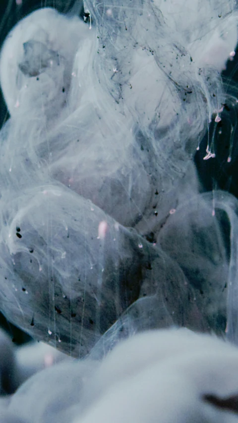 a close up of a white substance in water, an album cover, inspired by Elsa Bleda, trending on pexels, abstract expressionism, dark smoke, made of cotton candy, slimes, low quality photo