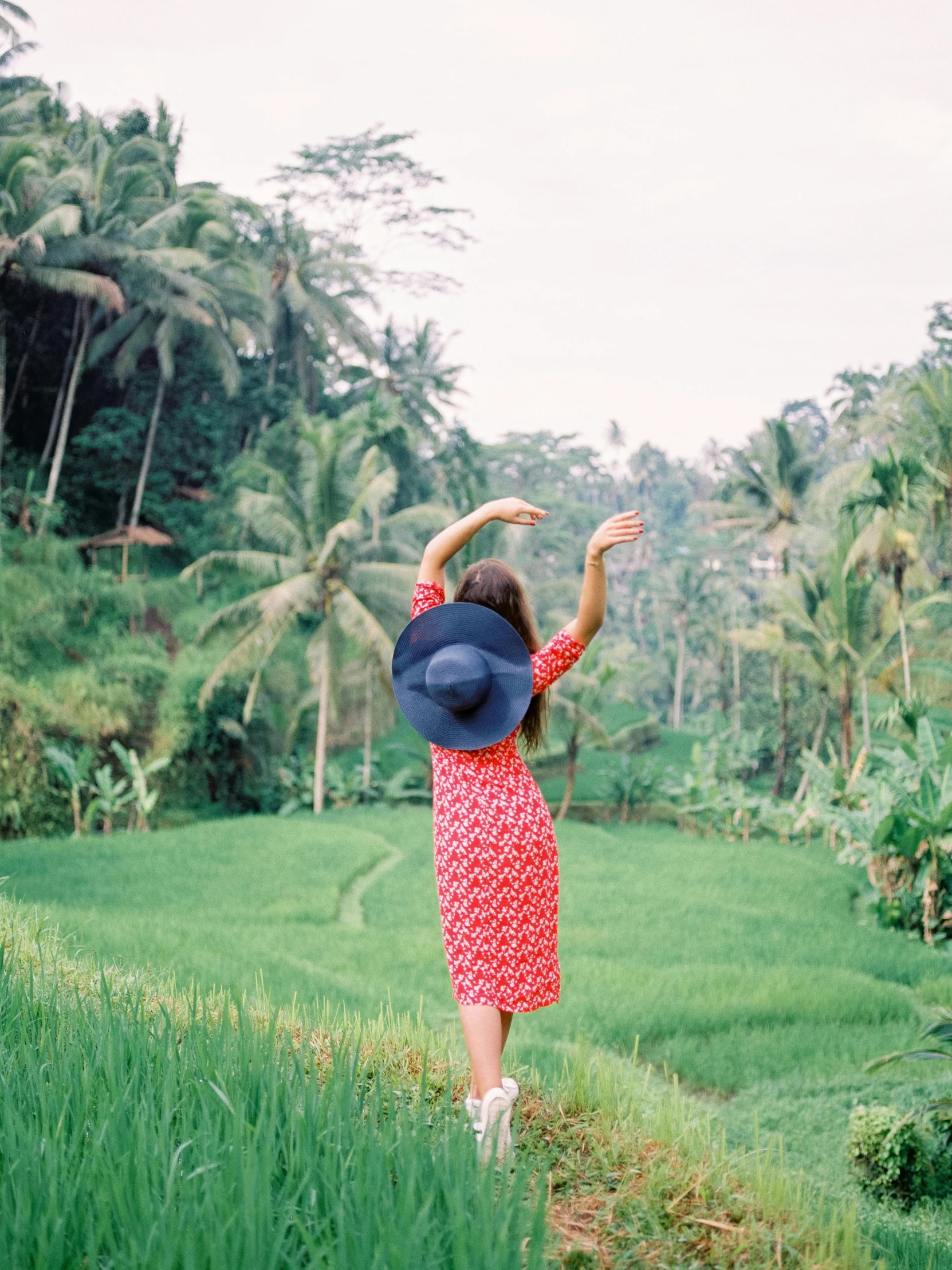 a woman standing in the middle of a lush green field, by Julia Pishtar, sumatraism, red dress and hat, with palm trees in the back, background image, view(full body + zoomed out)