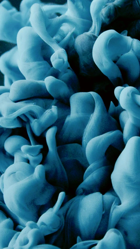 a close up of a bunch of blue flowers, a microscopic photo, inspired by Alberto Seveso, generative art, intricate pasta waves, mushroom structures, carved soap, grey