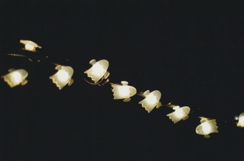 a string of white flowers on a black background, an album cover, flickr, spaceship night, light fixtures, 1999 photograph, piggy