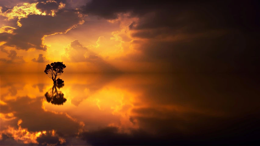 a tree that is standing in the water, pexels contest winner, romanticism, orange clouds, on a reflective gold plate, ultra hd wallpaper, liquid light